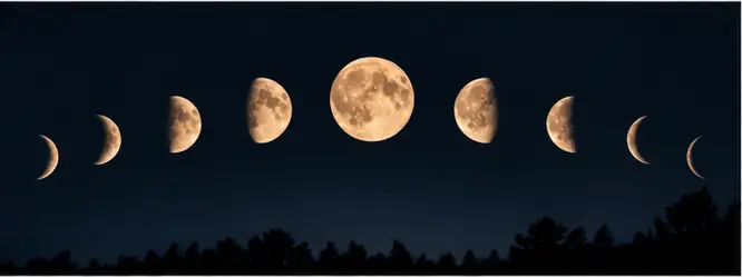 The phases of the moon in a row across a dark night sky above a treeline